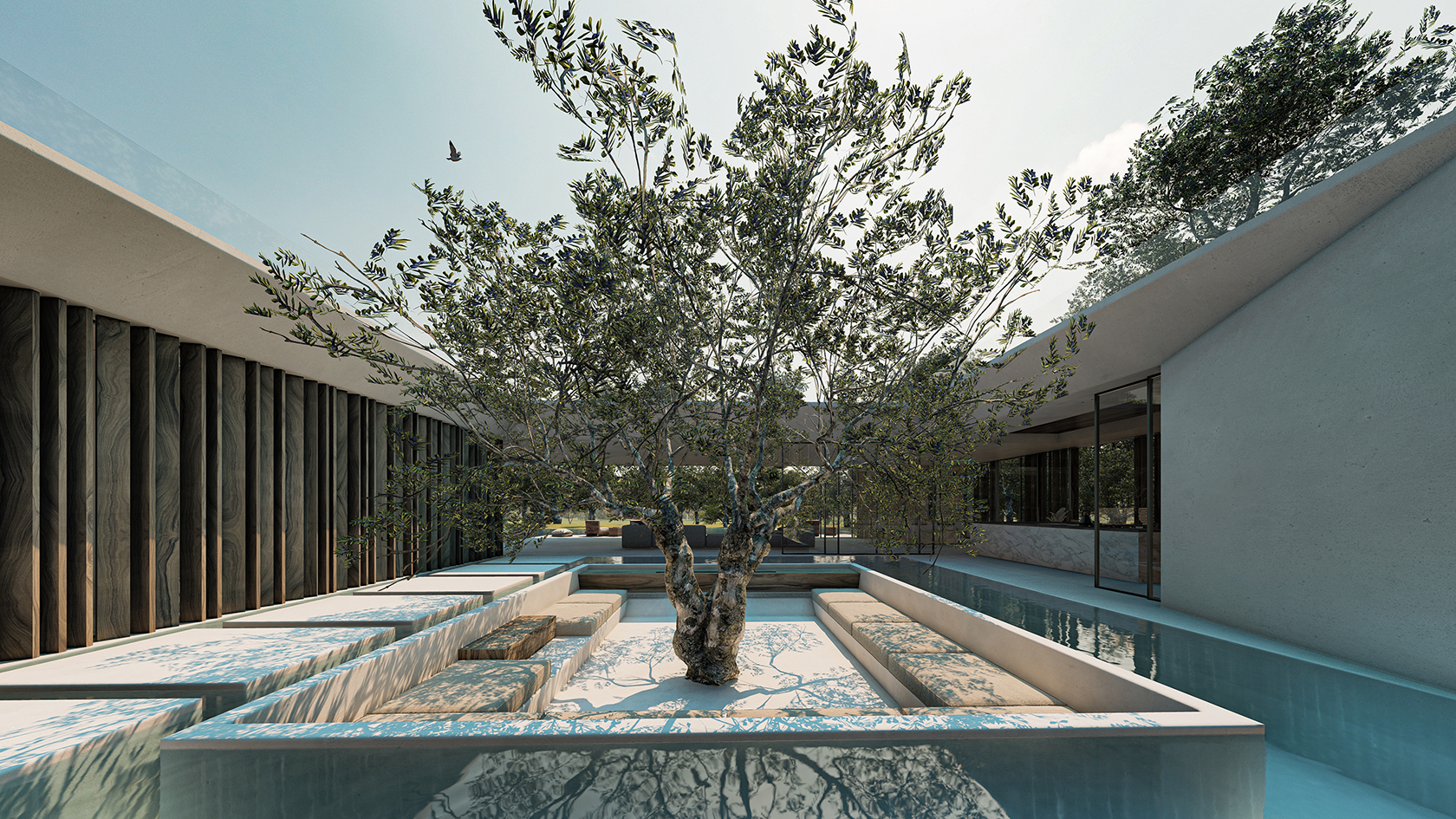 Ornamental olive tree in atrium of Greek villa